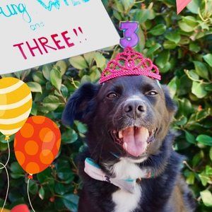 Meet your Posher, Robyn